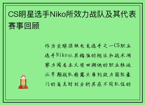 CS明星选手Niko所效力战队及其代表赛事回顾